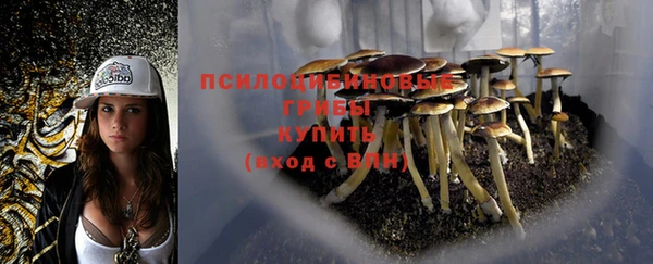 твердый Балабаново